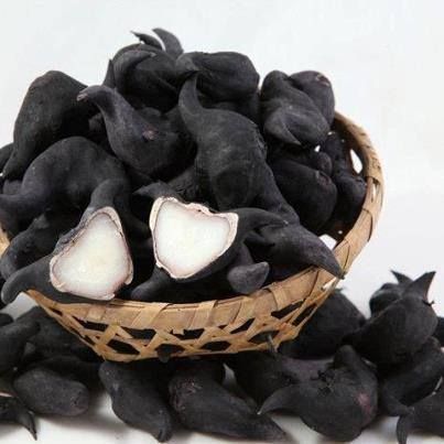 Water chestnut