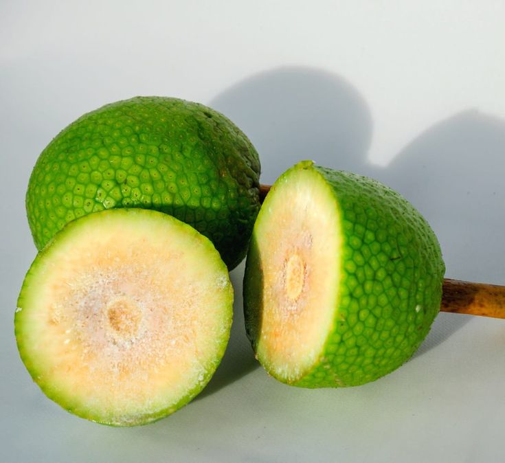 Breadfruit