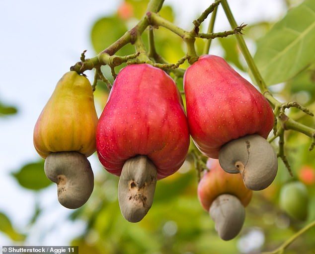 Cashews