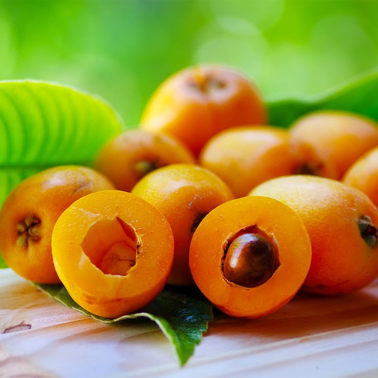 loquat fruit