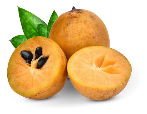 Sapote fruit