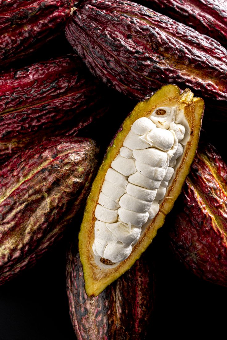 cacau