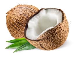 Coconut fruit