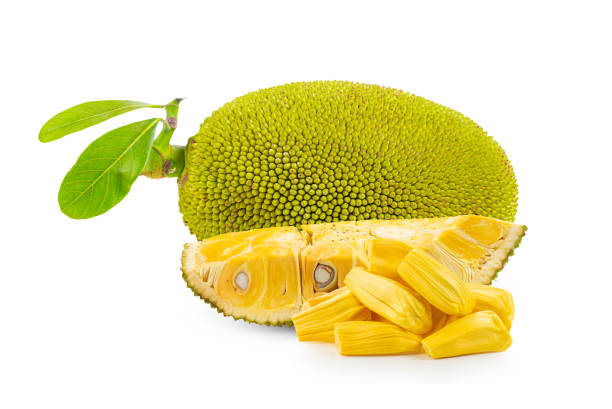 Jack fruit