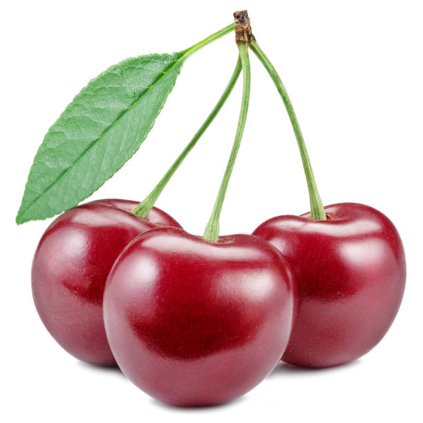 Cherry fruit